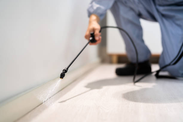 Licensed Termite Control service in Star City, WV - Nex Pest Control