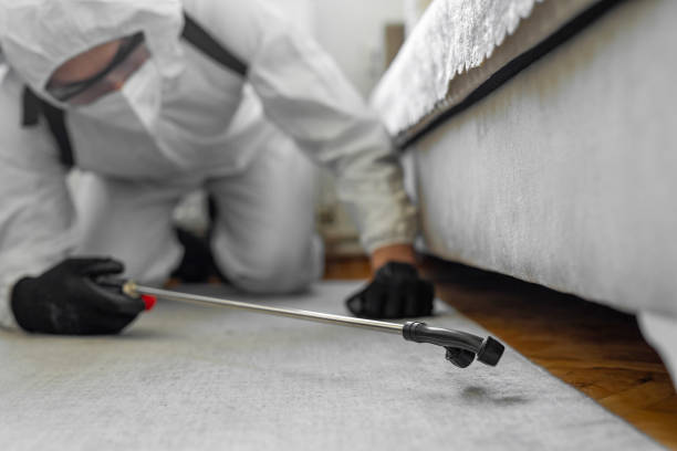 Professional Termite Control technician working in Star City, WV