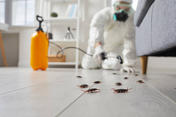 Trusted Rodent Control service in Star City, WV - Nex Pest Control