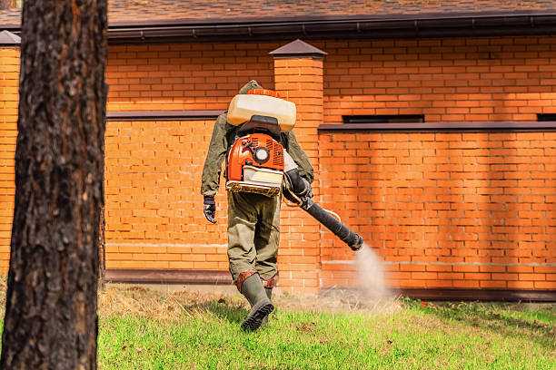 Trusted Emergency Pest Control service in Star City, WV - Nex Pest Control